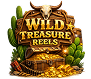 Wild Treasure Reels